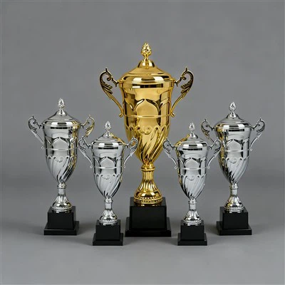 सिल्वर ट्रॉफी कप के बड़े 2019।